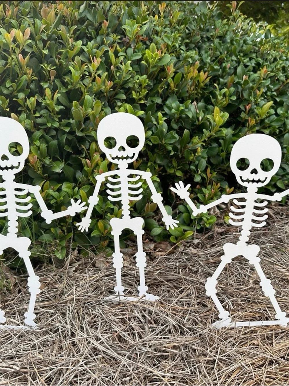 Halloween Yard Decor